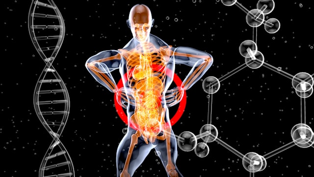 Renal Care in South Africa